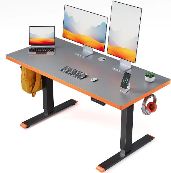 Electric Standing Desk Adjustable - 48x24 Inch Sit Stand